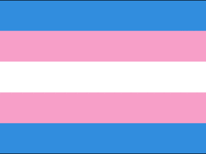 Transgender Flags
