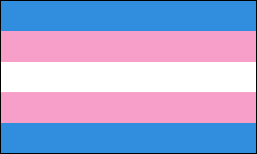 Transgender Flags