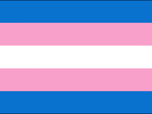 Transgender Flags - Boat Flags | The Flag Shop
