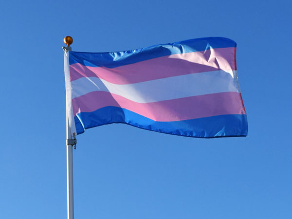 Transgender Flags | The Flag Shop