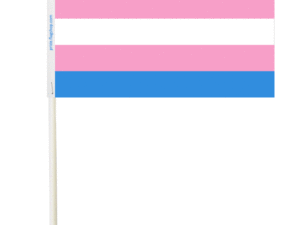 Transgender Paper Flags - The Flag Shop