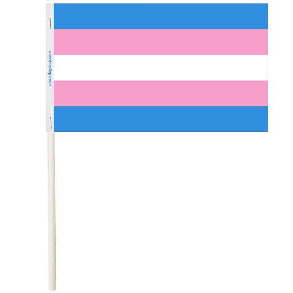 Transgender Paper Flags - The Flag Shop