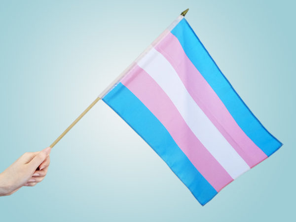 Transgender Flag 12"x18" Stick Flag