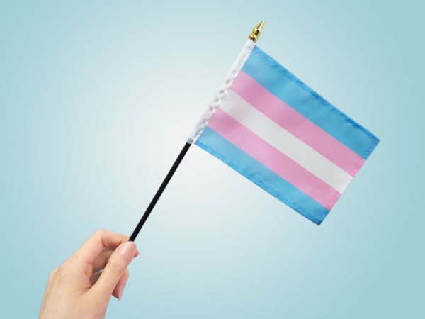 Transgender Flag 4"x6" Stick Flag