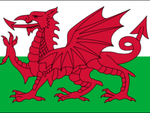 UK Wales Flag | The Flag Shop