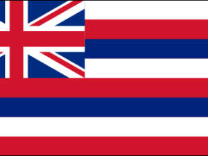 Hawaii Flag | HI Flag | State Flags | Flags of America