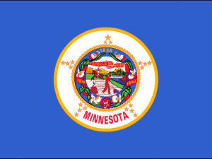 Minnesota State Flag | The Flag Shop