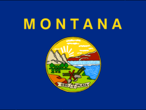 Montana Flag | MT Flag | State Flags | Flags of America