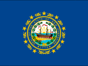 New Hampshire State Flag