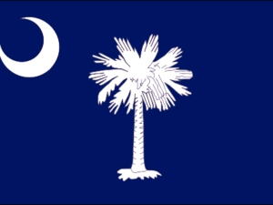South Carolina US State Flag