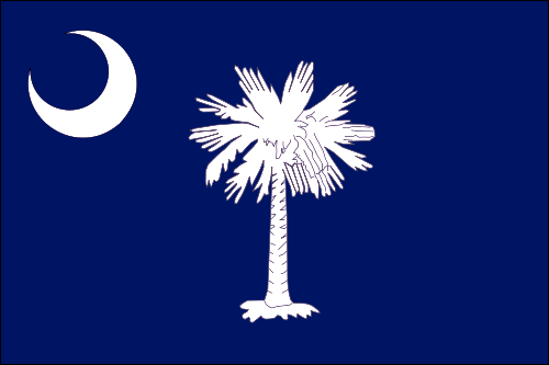 South Carolina US State Flag