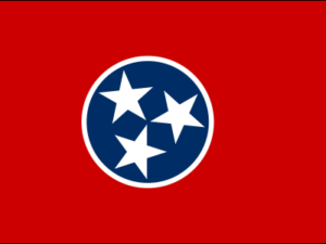 Us State Flag Of Tennessee