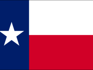 Texas State Flag | The Flag Shop