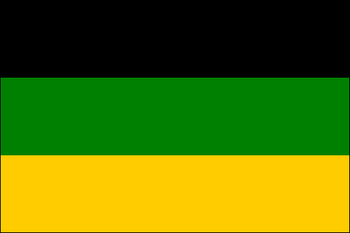 African National Congress Flags