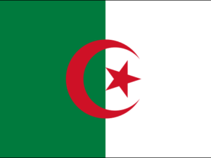 Algeria World Flag | The Flag Shop