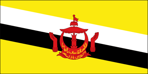 Brunei World Flag