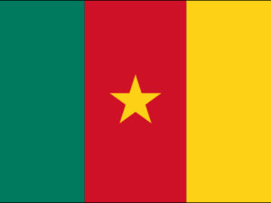 Flag of Cameroon | The Flag Shop