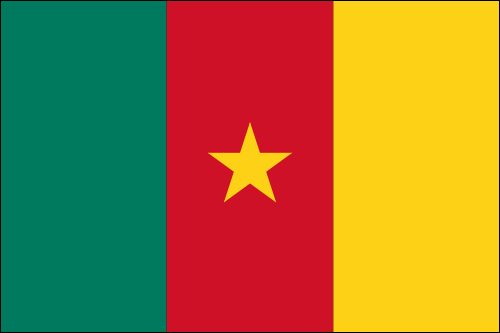 Flag of Cameroon | The Flag Shop
