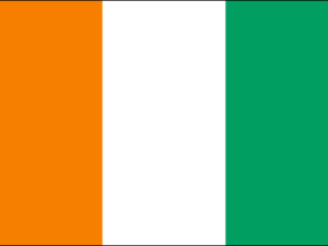 Flag of Ivory Coast - The Flag Shop