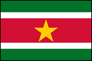 Suriname Flag - The Flag Shop