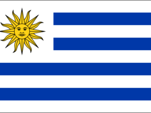 Flag of Uruguay - The Flag Shop