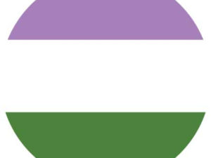 Gender Queer Pride Button | The Flag Shop