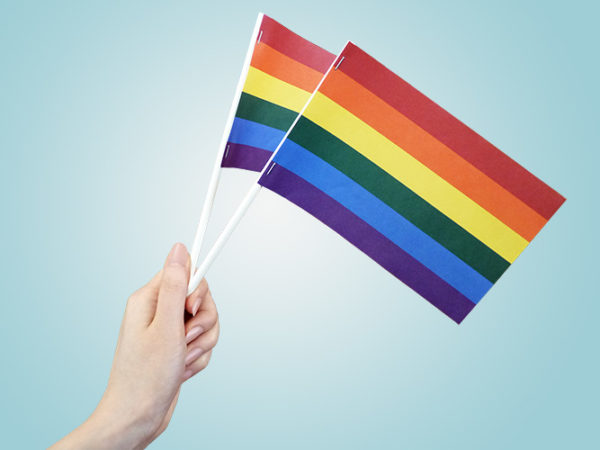 Pride Paper Stick Flags | Pride Paper Flags