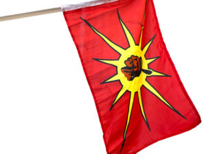 Mohawk Warrior 12x18 Stick Flag