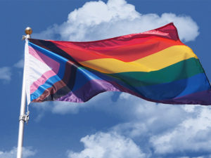 Inclusive Pride Flag - The Flag Shop