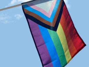 Inclusive Stick Pride Flag – Pride Products by The Flag Shop