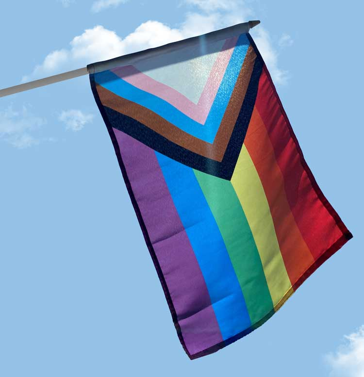 Inclusive Stick Pride Flag – Pride Products by The Flag Shop