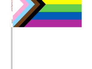 Inclusive Stick Flag - The Flag Shop