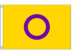 Intersex Flag - The Flag Shop