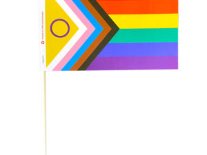 Intersex Inclusive Pride Stick Flag | The Flag Shop