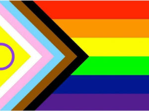 Intersex Pride Flag - The Flag Shop