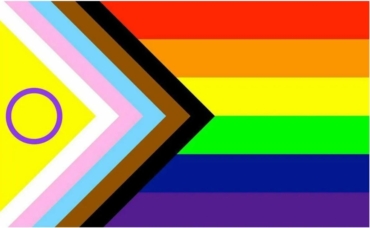Intersex Pride Flag - The Flag Shop
