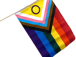Intersex Pride Stick Flag - The Flag Shop
