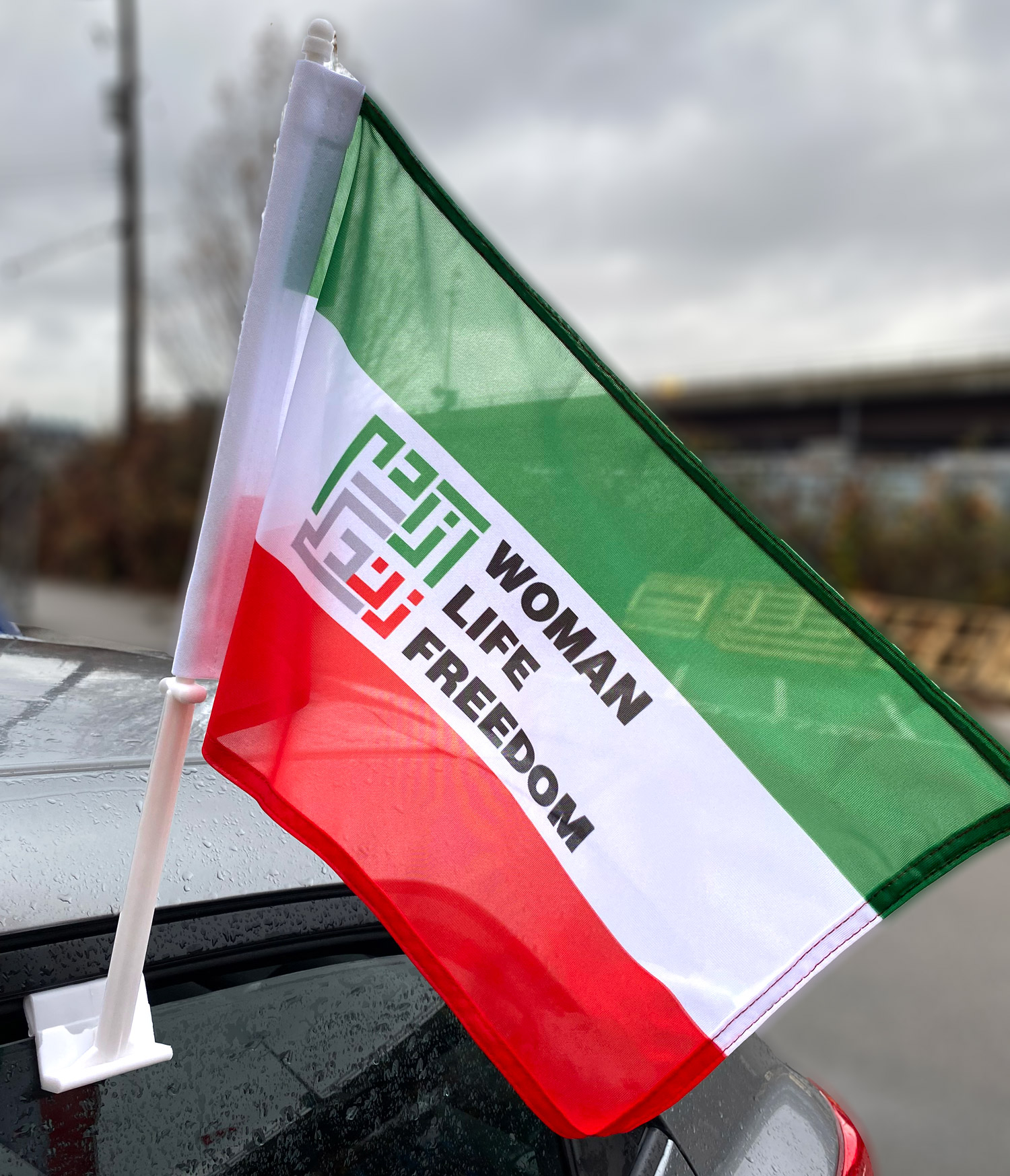 Iran Woman Life Freedom Flag | The Flag Shop