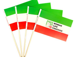 Iran Woman Life Freedom Protest Stick Flag | The Flag Shop
