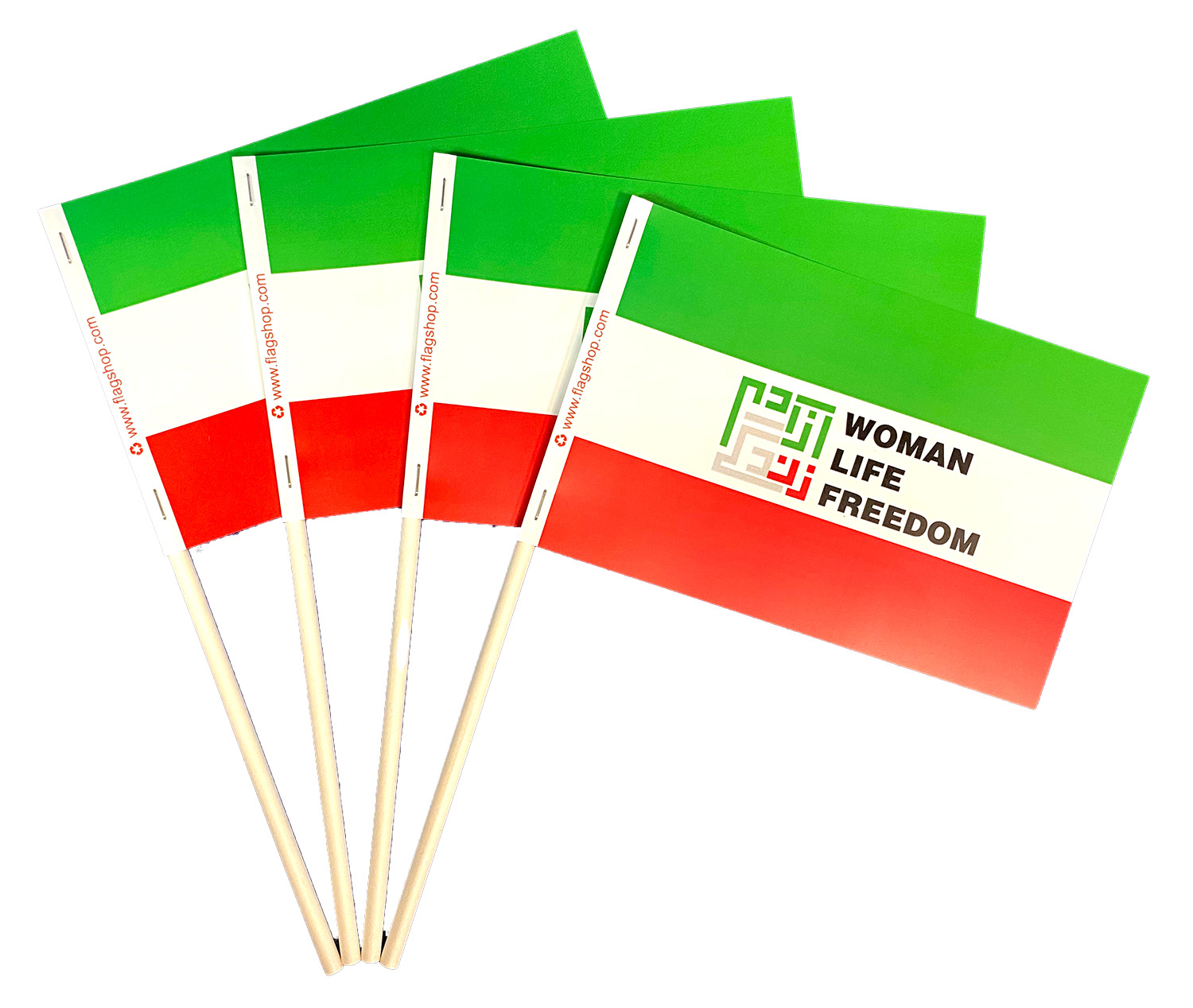 Iran Woman Life Freedom Protest Stick Flag | The Flag Shop