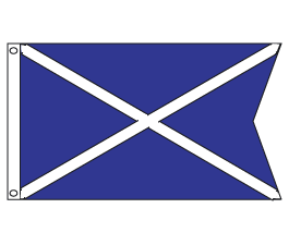 Membership Chairman Flag