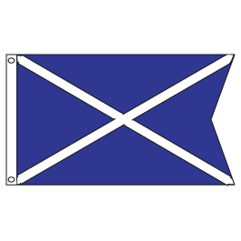 Membership Chairman Flag