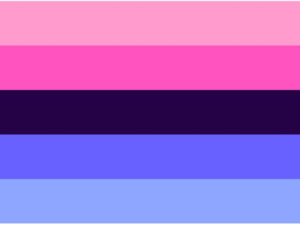 Omnisexual Pride Five Stripes Flag