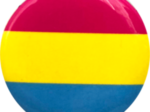 Pansexual Flag Pride Pin Button - The Flag Shop