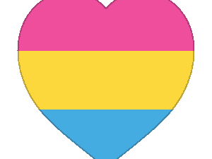 Pansexual Heart - The Flag Shop