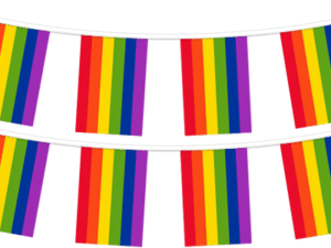 Pride Flag Pennant String