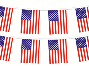 USA Pennants
