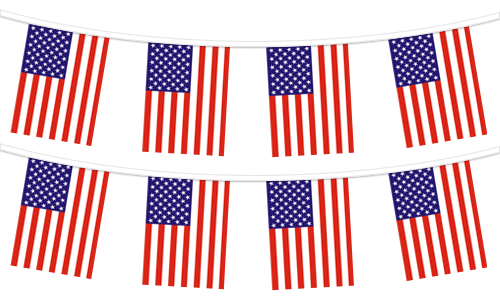 USA Pennants