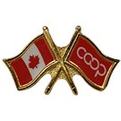 Pin Coop Red - The Flag Shop