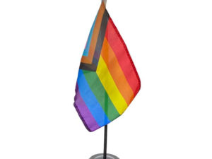 Progress Stick Rainbow Pride Flag - The Flag Shop